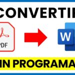 Cómo convertir PDF a Word