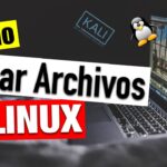 Cómo crear un archivo en Linux | Cómo crear un archivo en Linux mediante la terminal