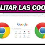 Cómo habilitar cookies en Google Chrome Cómo habilitar cookies en Google Chrome