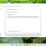 Cómo solucionar error de inicialización de SteamAPI [Tutorial]