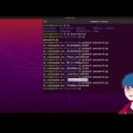 Ejecutar script Python en Ubuntu 22.04 LTS Linux Ejecutar script Python en Ubuntu 22.04 LTS Linux