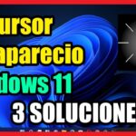 Solución: Mouse desaparece en Windows 11 en computadoras/portátiles Solución: Mouse desaparece en Windows 11 en computadoras/portátiles